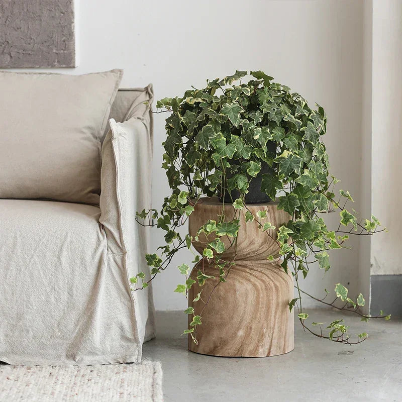 A lush green ivy plant cascades over a round wooden small end table with rustic light-toned wood grain for living room