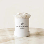 Essence White Box | White Roses