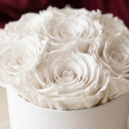 Essence White Box | White Roses