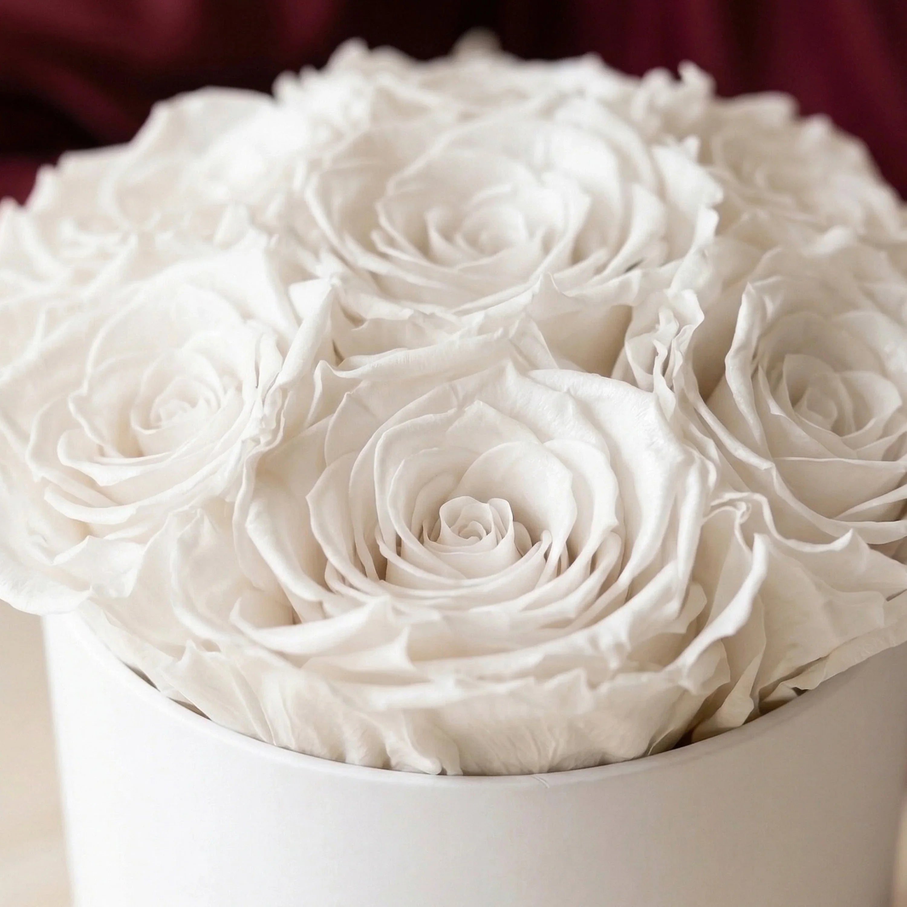 Essence White Box | White Roses