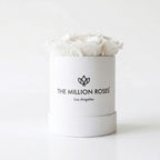 Essence White Box | White Roses