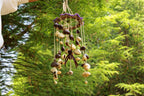 "Floral Harvest Chime" Vine Wreath Seed Chime