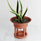 Funnel Planter