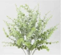 GPB24451 21.5" Baby Eucca Bush X 16 - R Leggs Manufacturing