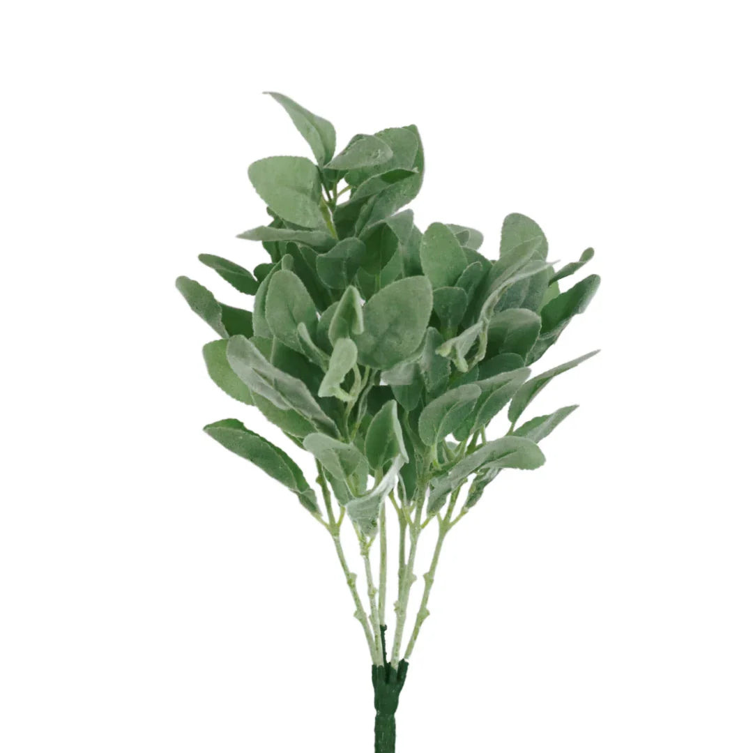GPB24852 18" Lamb's Ear Bush X 6 - R Leggs Manufacturing