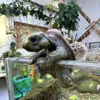 Garden Turtle Statue for Aquarium Decoration - House Of Avana