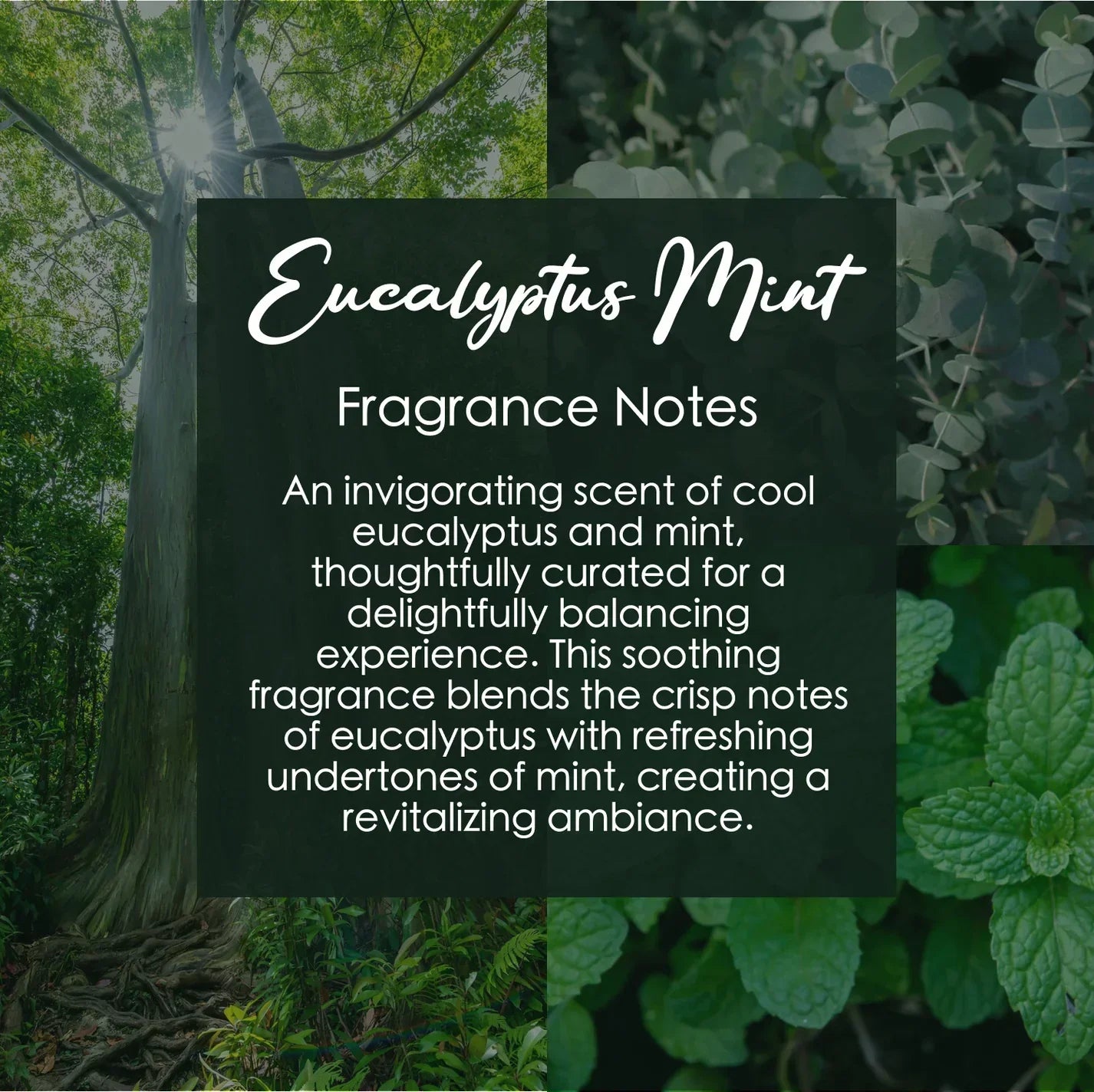 Cool Eucalyptus Mint, Premium Coconut-Soy Wax Tea Light Crystal Candle, 1oz Innergy