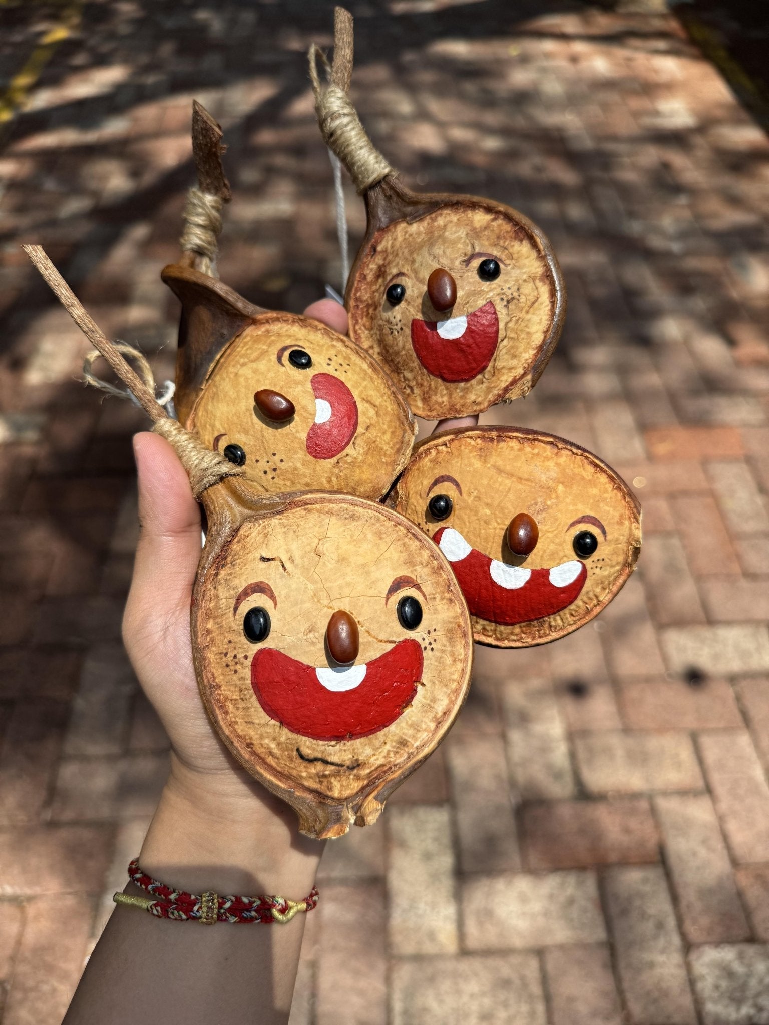 Hand-Painted Giant Entada Pod Ornament – World’s Largest Bean Wall Decor