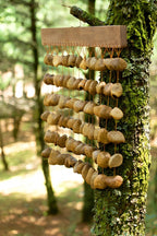 Handmade Panji  Seed Shell Bar Chime