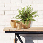 Handwoven Small Rattan Basket Planters (Set of 3) Vintage Shopper