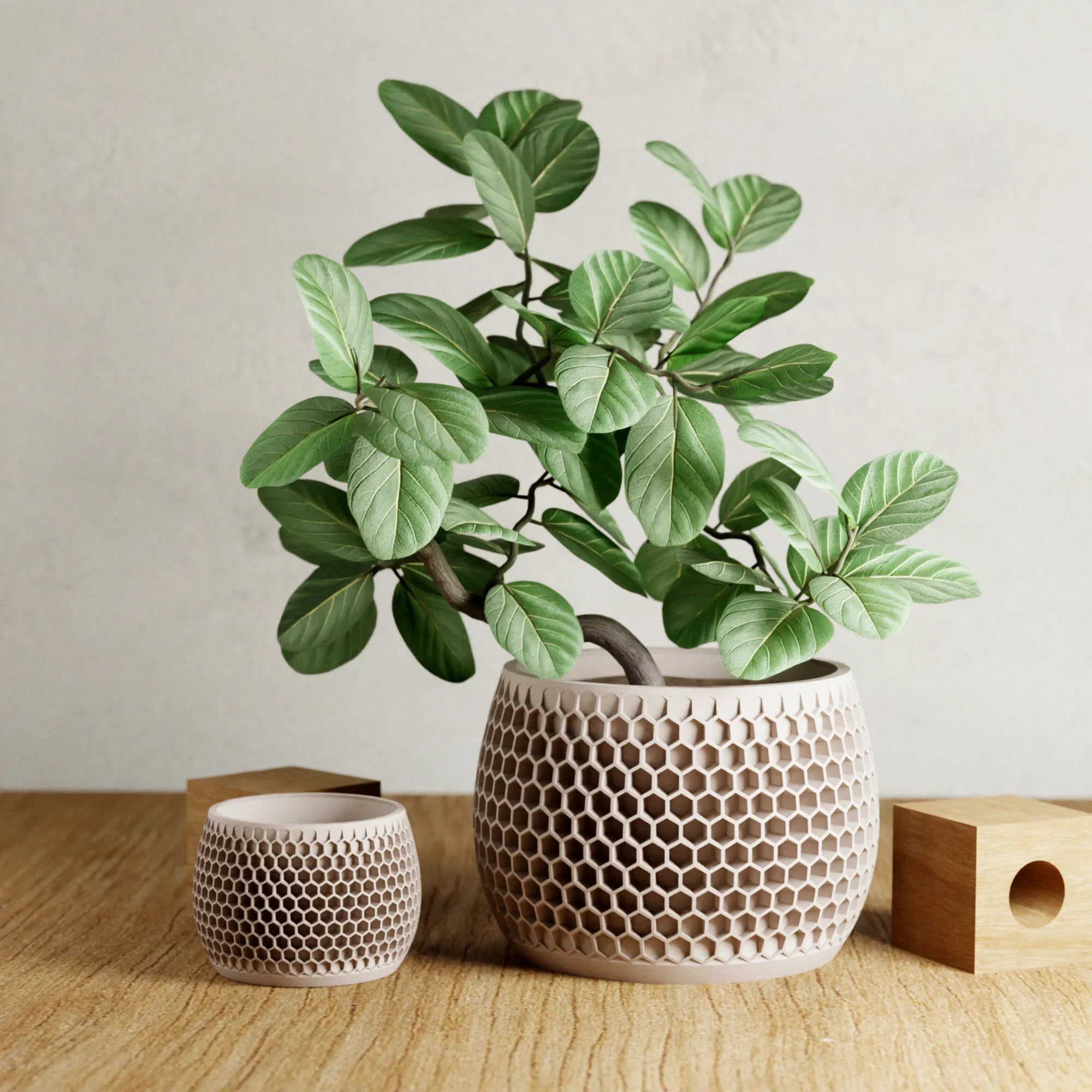 Honeycomb Planter Modernized Pottery