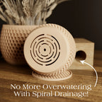 Honeycomb Planter Modernized Pottery