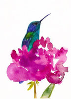 Hummingbird in a Peony Art Print – Vibrant Floral & Bird Wall Décor, Archival Quality, Ready to Hang
