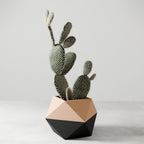 Ico Planter, back view - House Of Avana