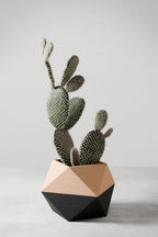 Ico Planter, front view - House Of Avana