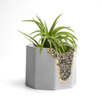 PYRITE GEODE PLANTER AURA 8 HOME