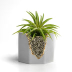 PYRITE GEODE PLANTER AURA 8 HOME