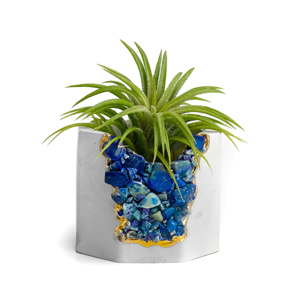 LAPIS LAZULI GEODE PLANTER AURA 8 HOME