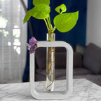 AMETHYST PROPAGATION STATION AURA 8 HOME