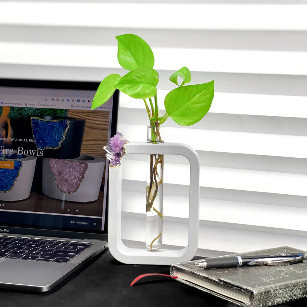 Purple glass propagation station, self-watering planter - House of Avana