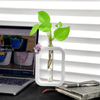 Purple glass propagation station, self-watering planter - House of Avana