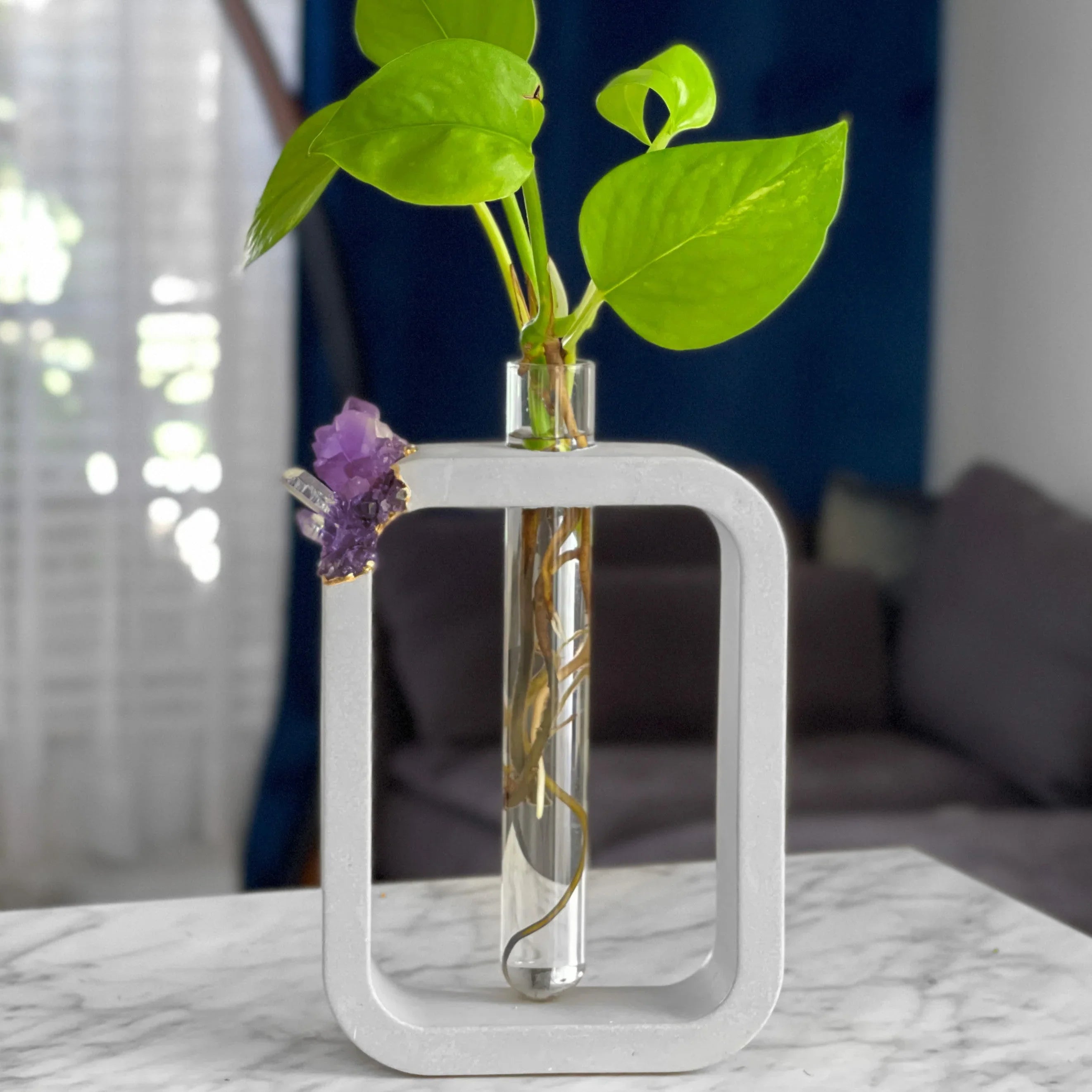 Purple glass propagation station, self-watering planter - House of Avana