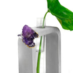 Purple glass propagation station, self-watering planter - House of Avana