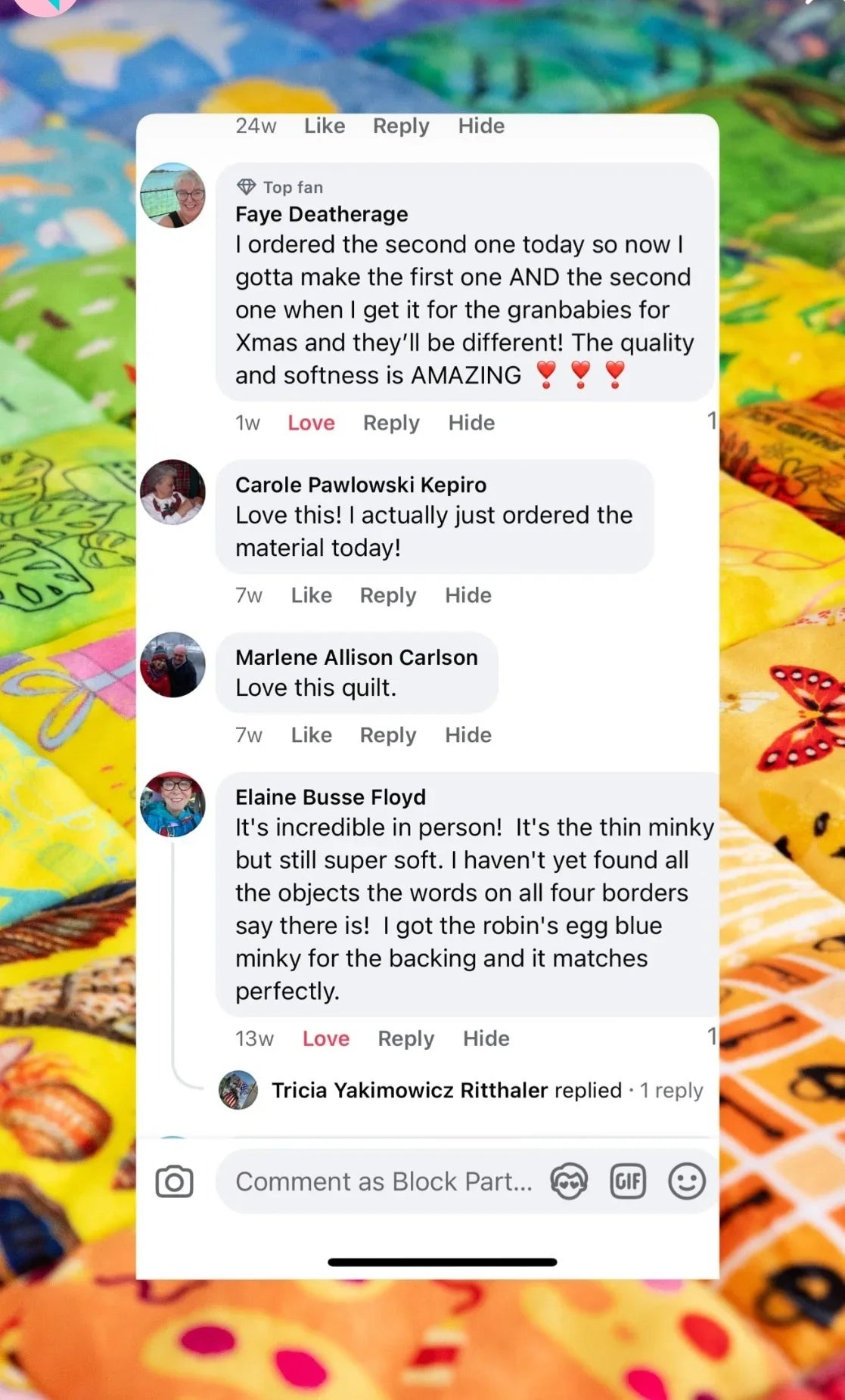 ABC Hidden Pictures Minky Quilt Panel Block Party Quilt Co