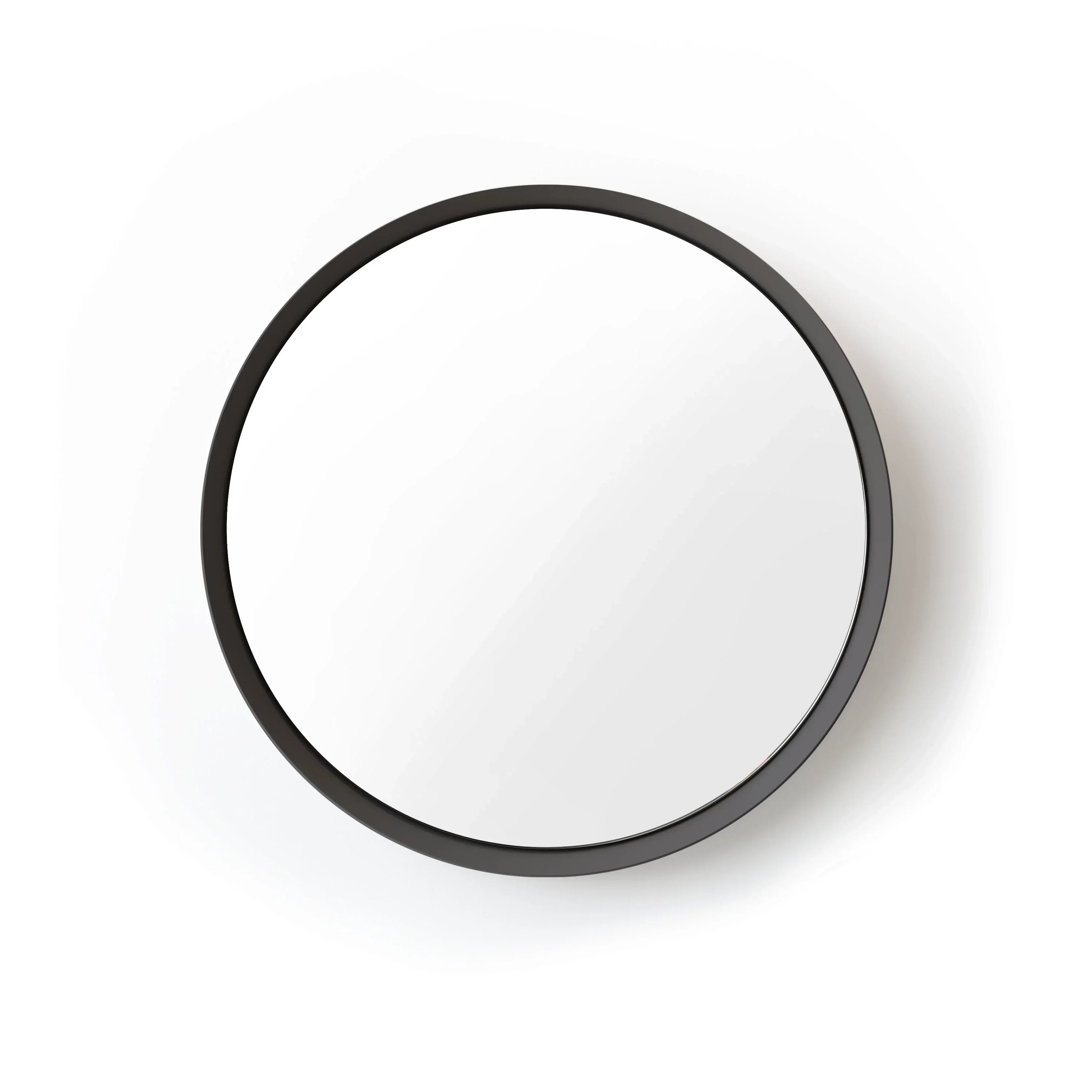 Kendrick Mirror Misewell