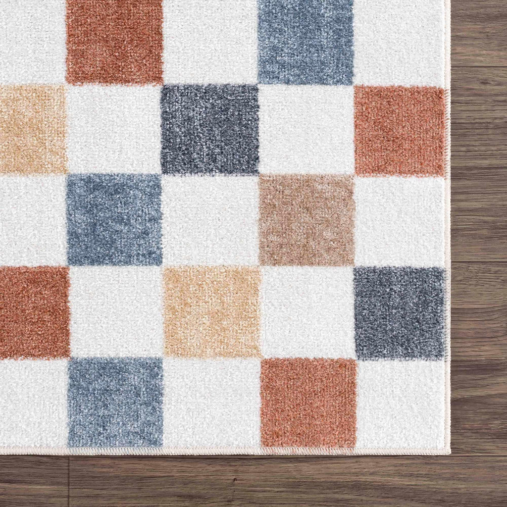 Alie Colorful Checkered Washable Rug Hauteloom