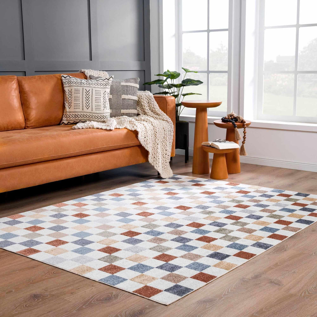 Alie Colorful Checkered Washable Rug Hauteloom