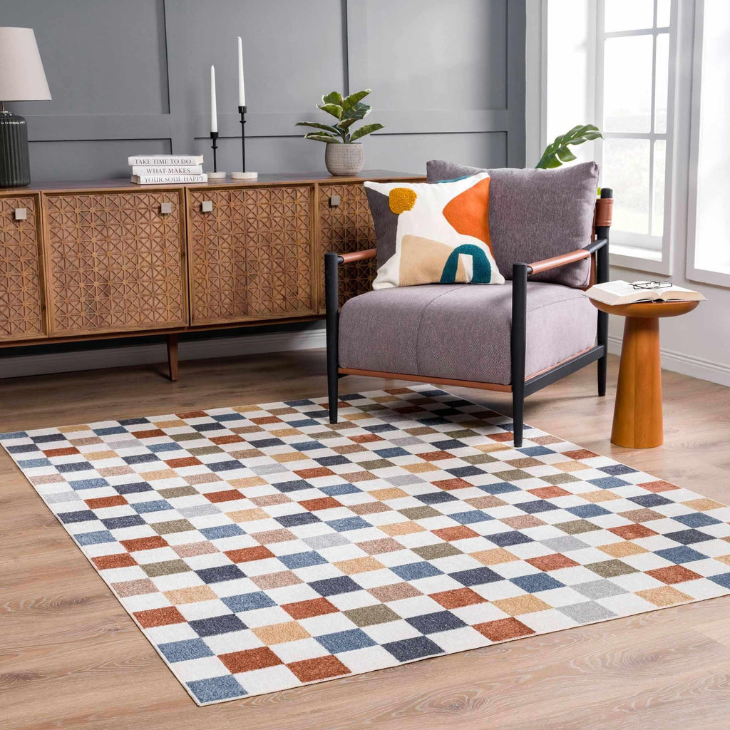 Alie Colorful Checkered Washable Rug Hauteloom