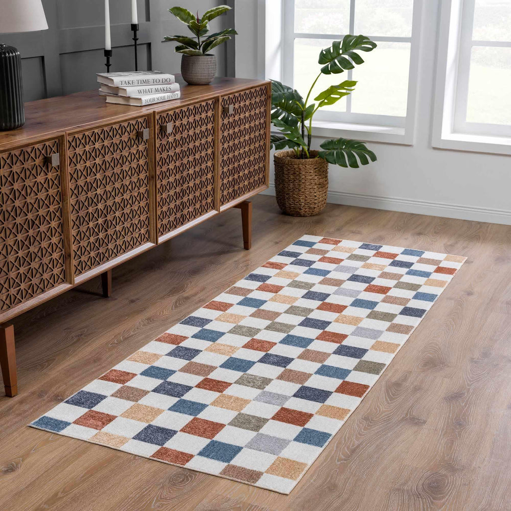 Alie Colorful Checkered Washable Rug Hauteloom