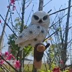 Lifelike Owl Statue Wall Decor, Easy Install on Trees & Walls, Realistic Animal Theme for Home & Garden, Perfect Gift for Bird Lovers, House Accent, Birthdays, Mother'S Day, Father'S Day, Thanksgiving, Valentines-day, Bird De House Of Avana
