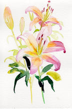 Lily – May Birth Flower Art Print