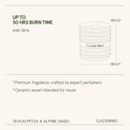 Lucienne - Eucalyptus & Alpine Sage Candle LA JOLIE MUSE