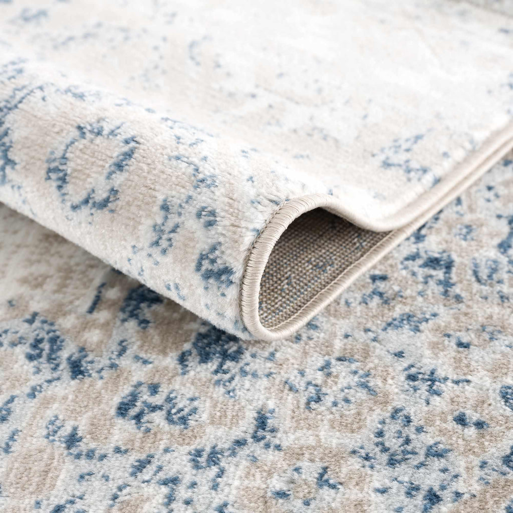 Amir Area Rug Hauteloom