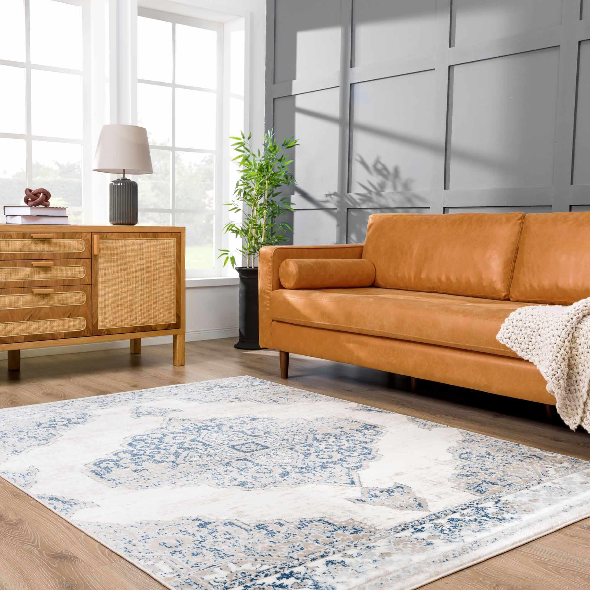 Amir Area Rug Hauteloom