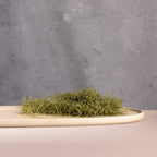 Mesa Oval Platter