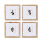 Vintage Coastal Seashell Wall Art Set (Set of 4) Vintage Shopper