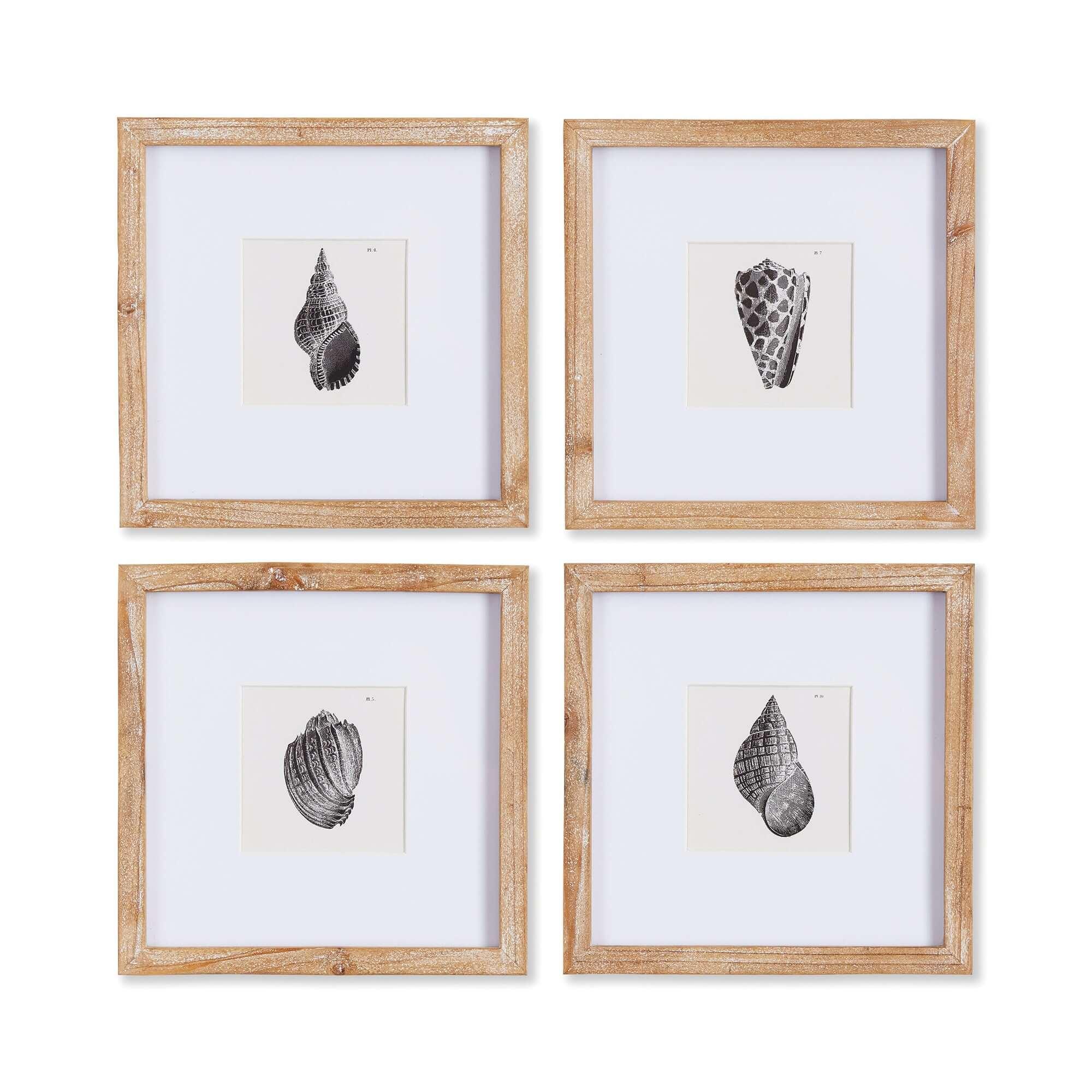 Vintage Coastal Seashell Wall Art Set (Set of 4) Vintage Shopper