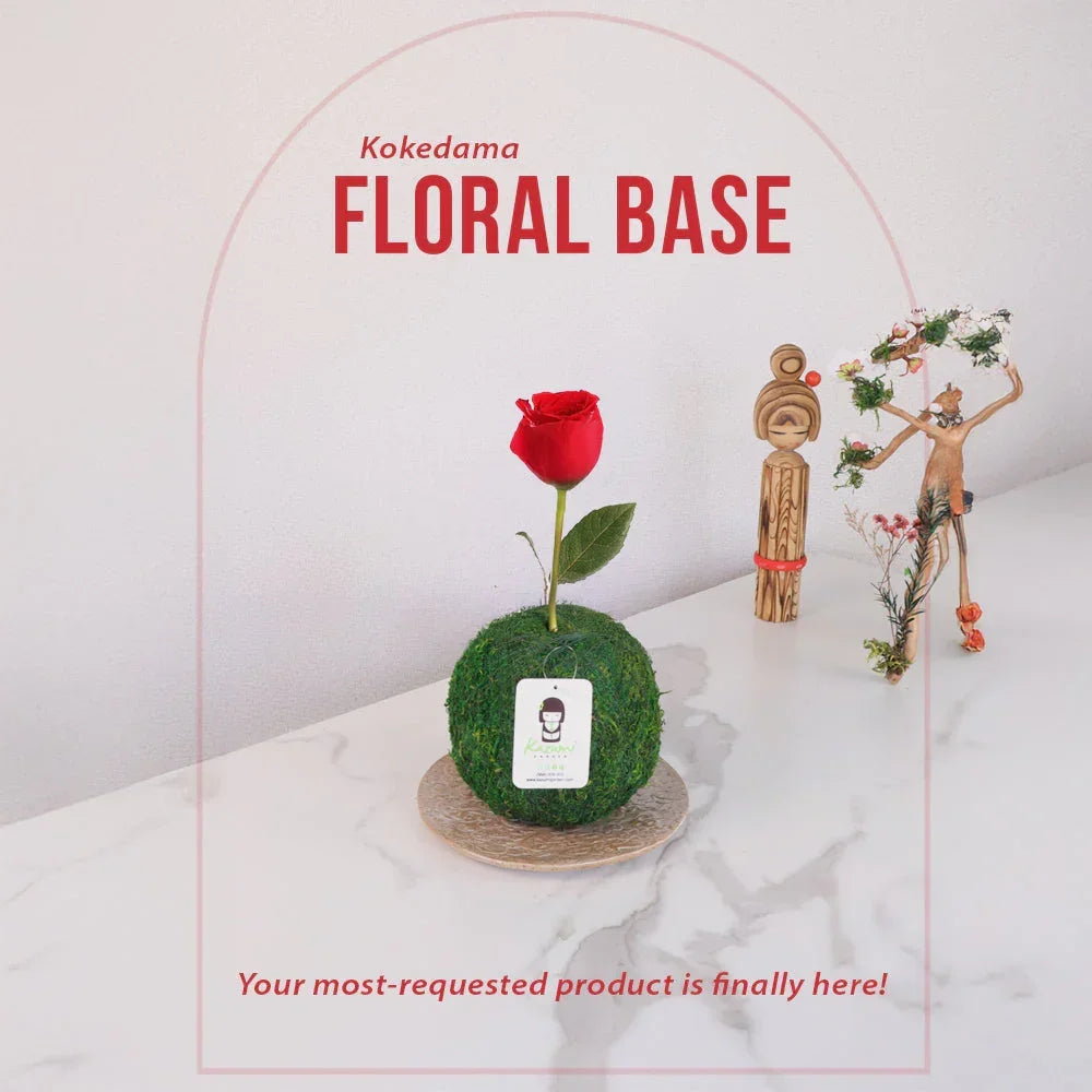 Natural MOSS 4.5" Kokedama Floral Base - Perfect for Single Stems, Fresh Flowers, Dried Blooms, and Minimalist Home Decor Kazumi Garden