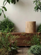 Rustic Wood Decor - Natural Mushroom Base, angled view - House Of Avana