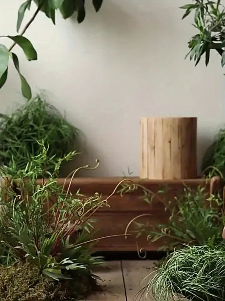Rustic Wood Decor - Natural Mushroom Base, angled view - House Of Avana