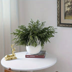 10pcs Real Touch Artificial Norfolk Pine Branches - UV-Resistant Fake Plants, 45.72cm Evergreen Stems for Christmas, Halloween, Wedding, Home Decor - No Maintenance Faux Greenery Garland, Centerpieces, Table, Mantle, Shelf De House Of Avana
