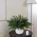 10pcs Real Touch Artificial Norfolk Pine Branches - UV-Resistant Fake Plants, 45.72cm Evergreen Stems for Christmas, Halloween, Wedding, Home Decor - No Maintenance Faux Greenery Garland, Centerpieces, Table, Mantle, Shelf De House Of Avana
