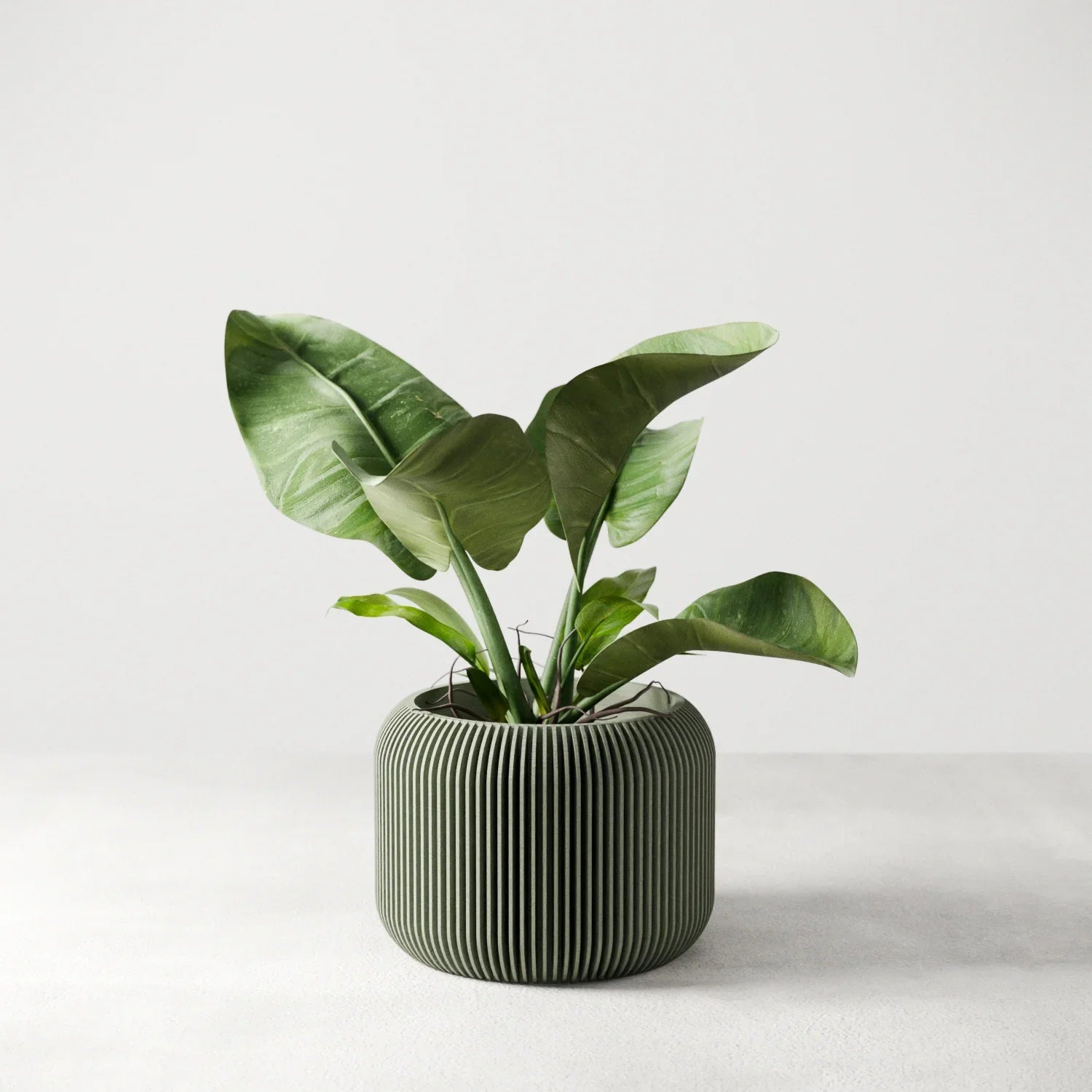 Orbis Planter, back view - House Of Avana