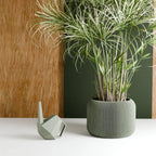 Orbis Planter, top view - House Of Avana