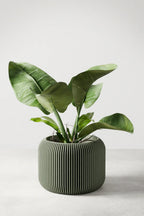 Orbis Planter, front view - House Of Avana