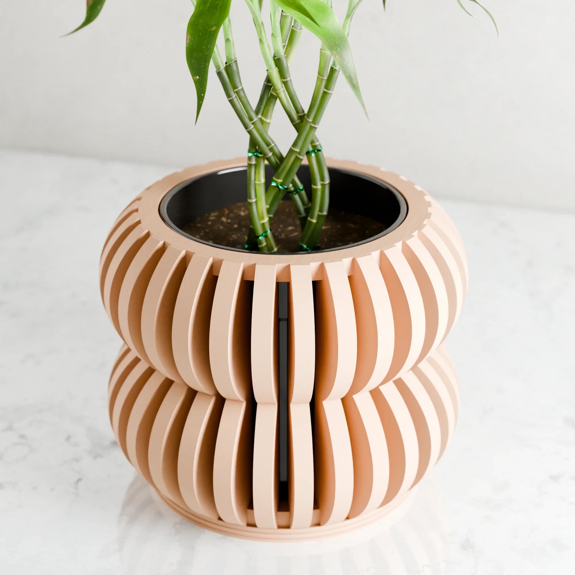 Orchid Planter Double Bubbles, angled view - House Of Avana